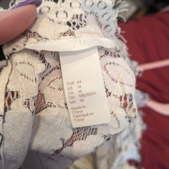 Lace Shift Dress - Picture 3 of 3